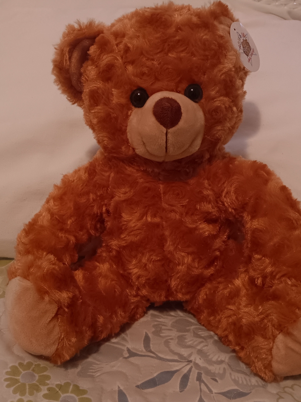 Noah's Ark Animal Workshop Classic Plush Teddy Bear - Brown 14"
